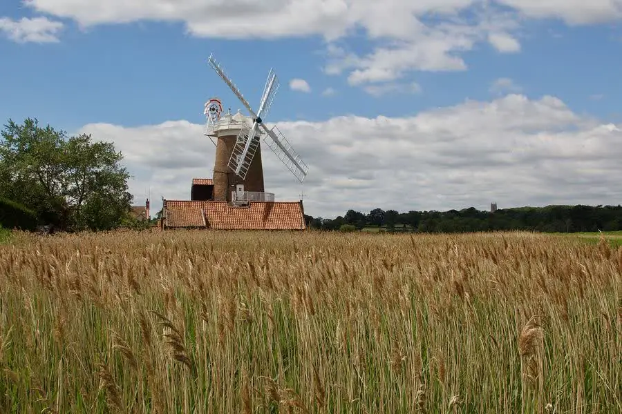 Cley windmill over the reedbeds
