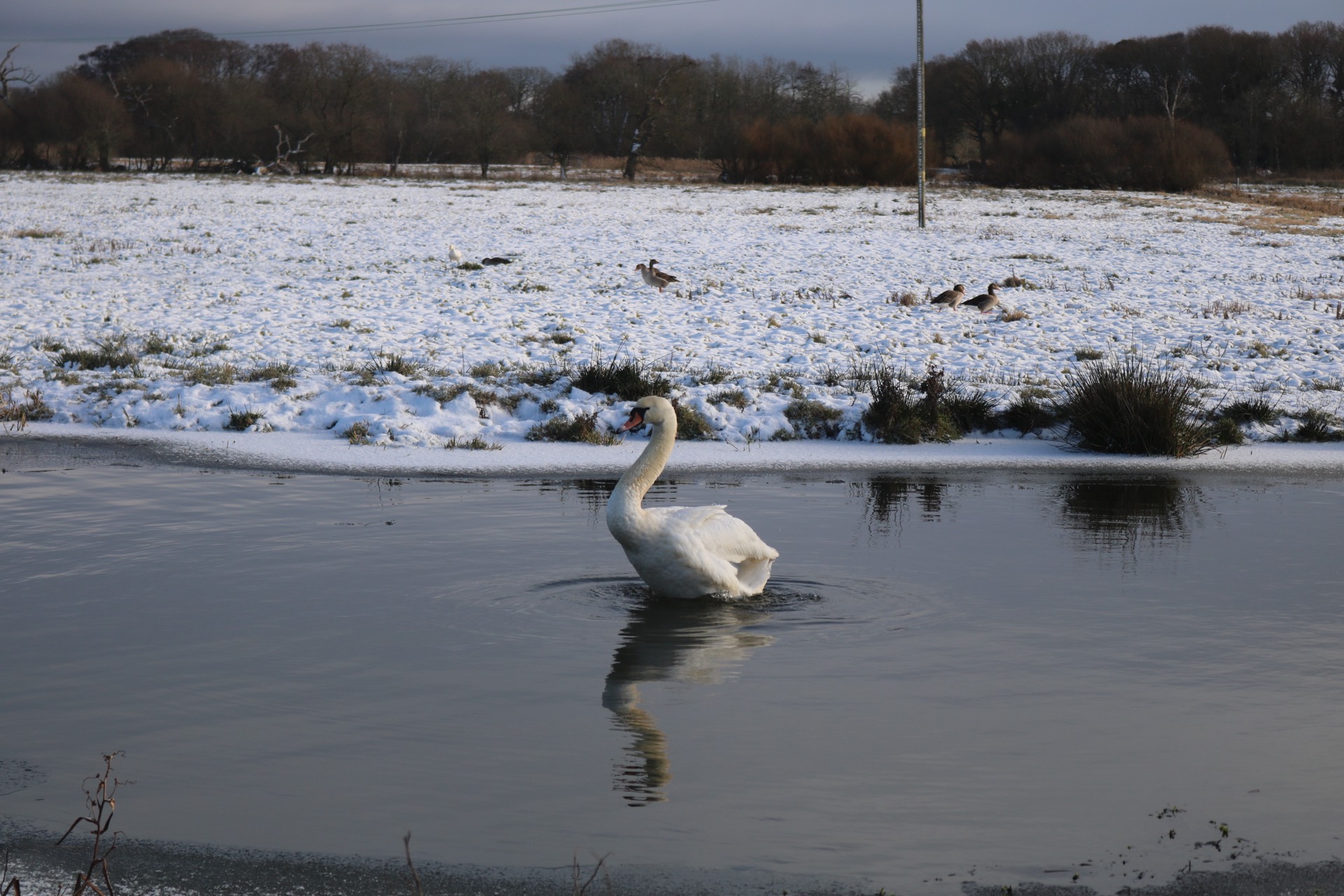 Canoeing on the canal at Dilham