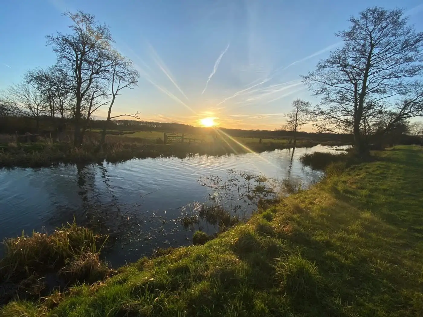 Evening light over the fen