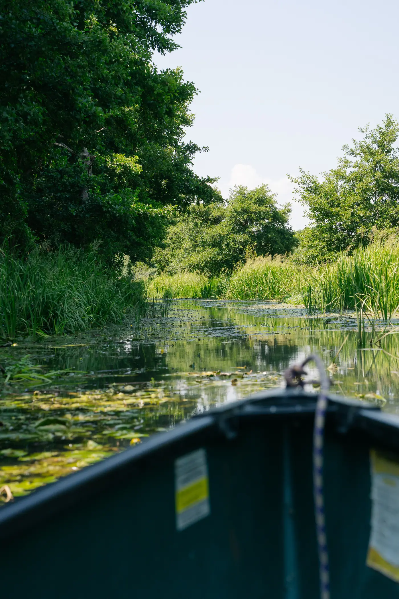 Looking over the bow of a canoe up the quiet, reed-lined canal