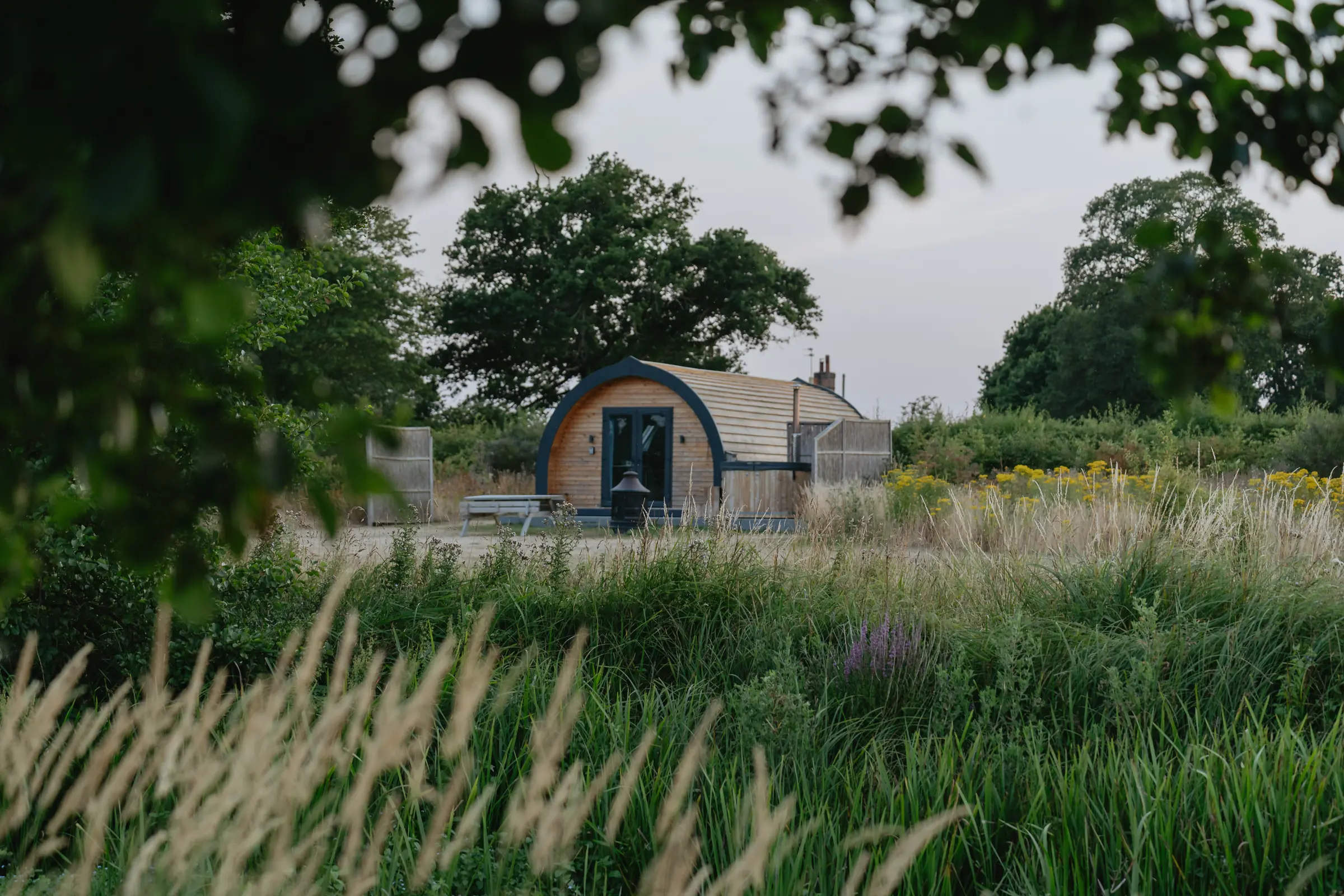 A pod in the long meadow grass, glimpsed through the trees