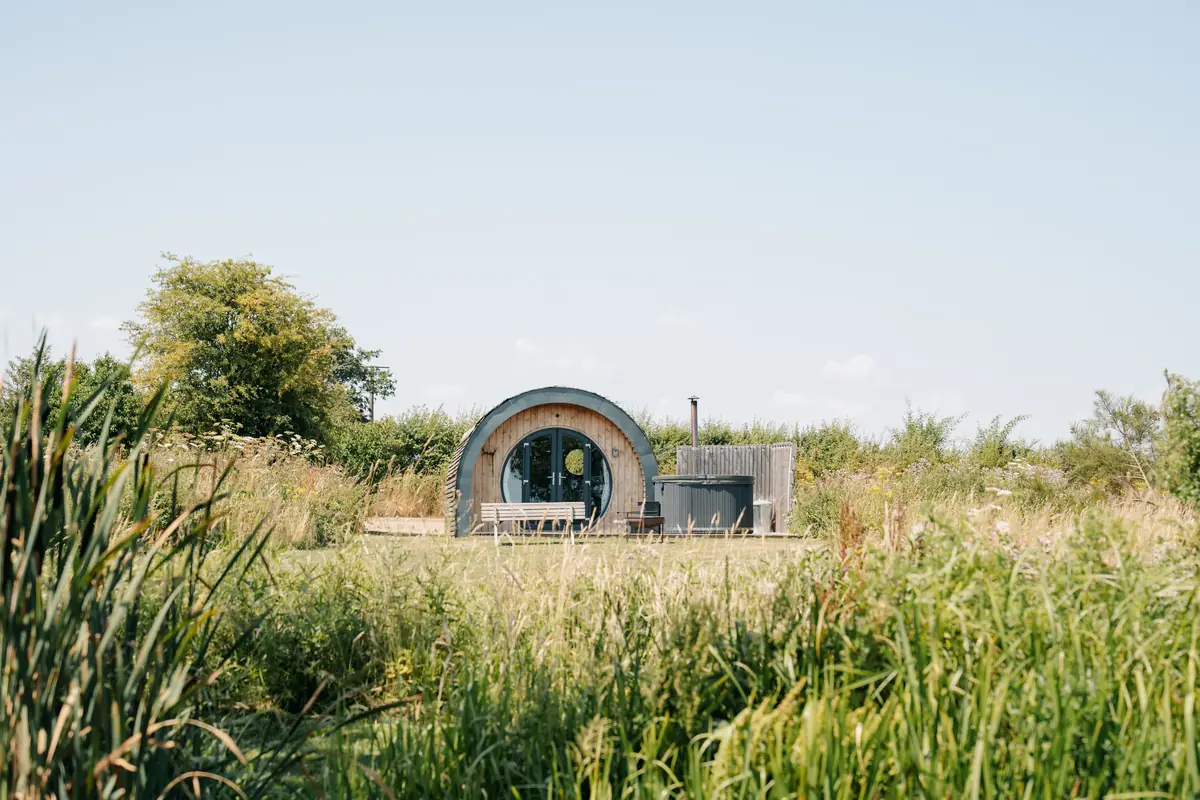 A pod and its hot tub seen through tall reeds